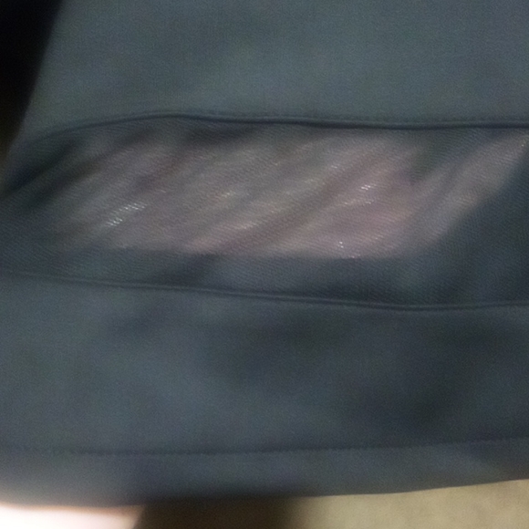 Lane Bryant Neoprene Sheer Dress - Picture 8 of 12